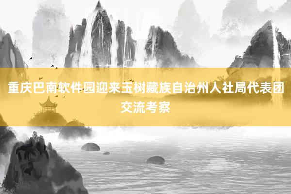 重庆巴南软件园迎来玉树藏族自治州人社局代表团交流考察